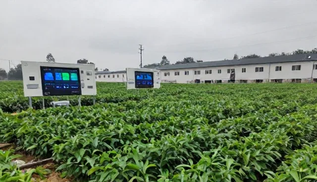 全流程跟进:技术开发中选型关注点的取舍分析